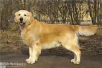 куда пойти в выходные 2014