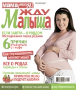 жду малыша №4 2010, журнал жду малыша, я беременна, беременность